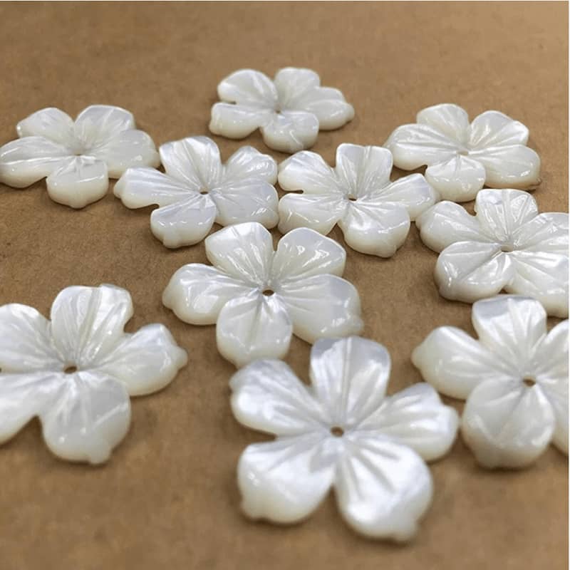 Badhan Balanbaalis Shell Button